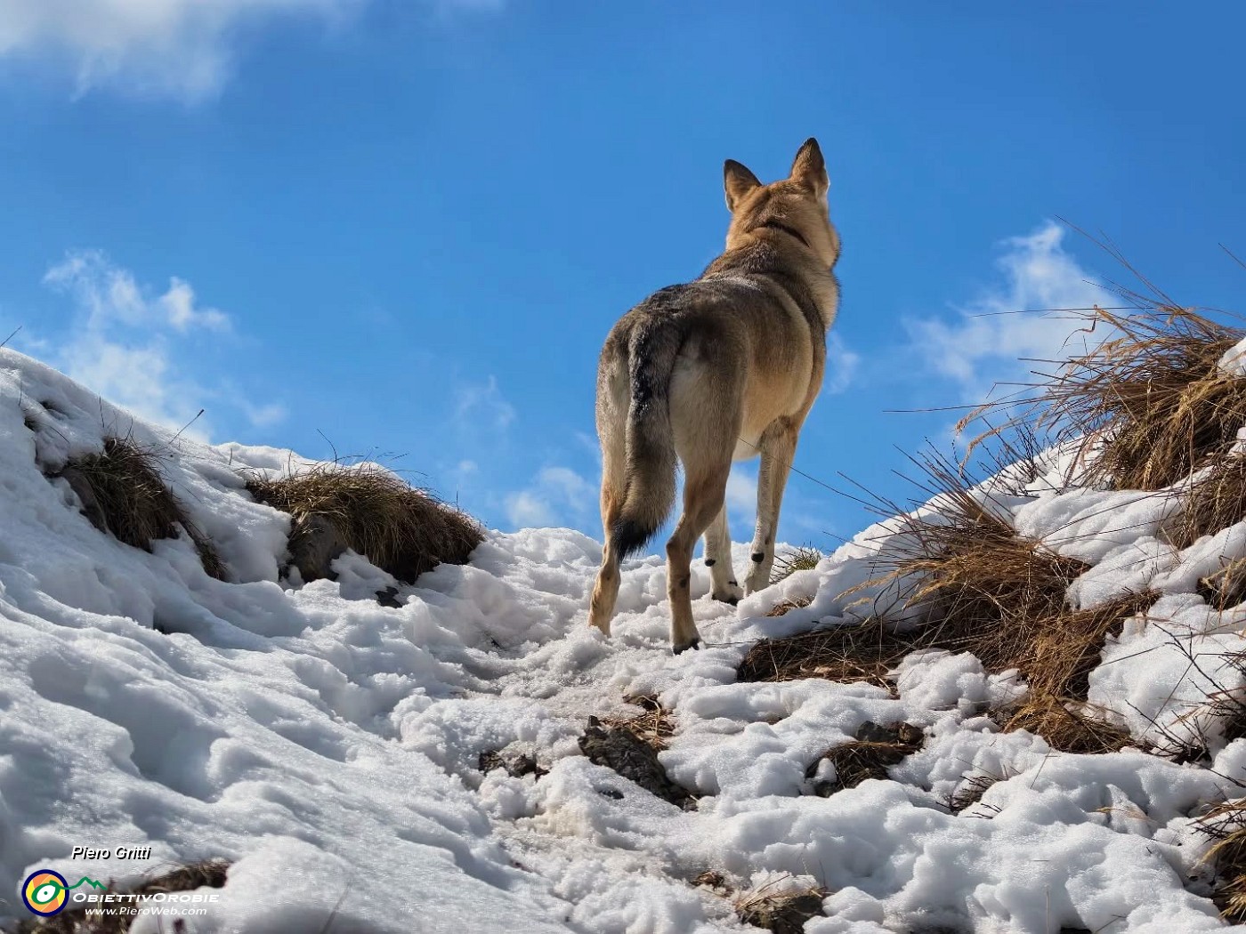 01 Bello pestare neve marzolina !.jpg